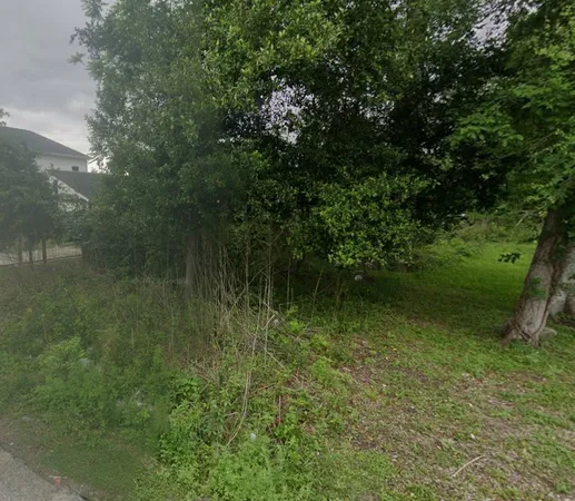 $60,000 | 0 Cohn Street, Houston, TX 77091