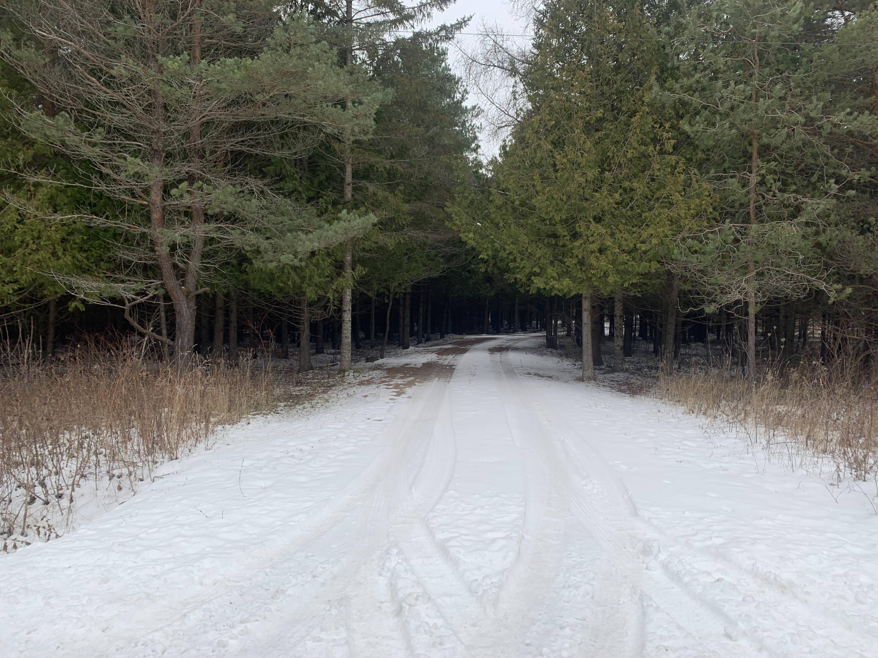 4194 Gorman Road St. Ignace, MI 49781 - Photo 54 of 58 Gallery Image 54