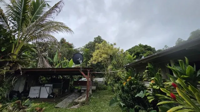 a backyard of a house with lots of green space