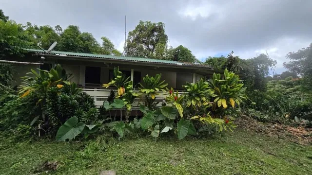 a backyard of a house with lots of green space