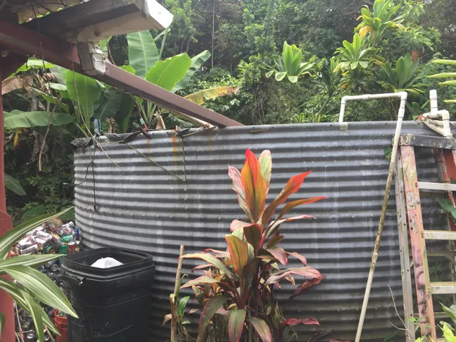 a view of a field with a tree
