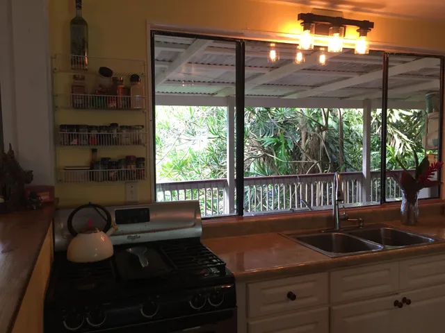 a kitchen with granite countertop a stove and a view of the house