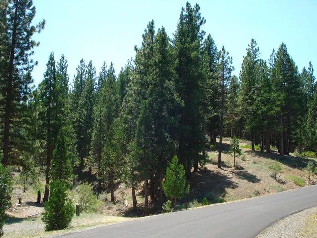 $187,000 | 976 Moon Shadow, Portola, CA 96122