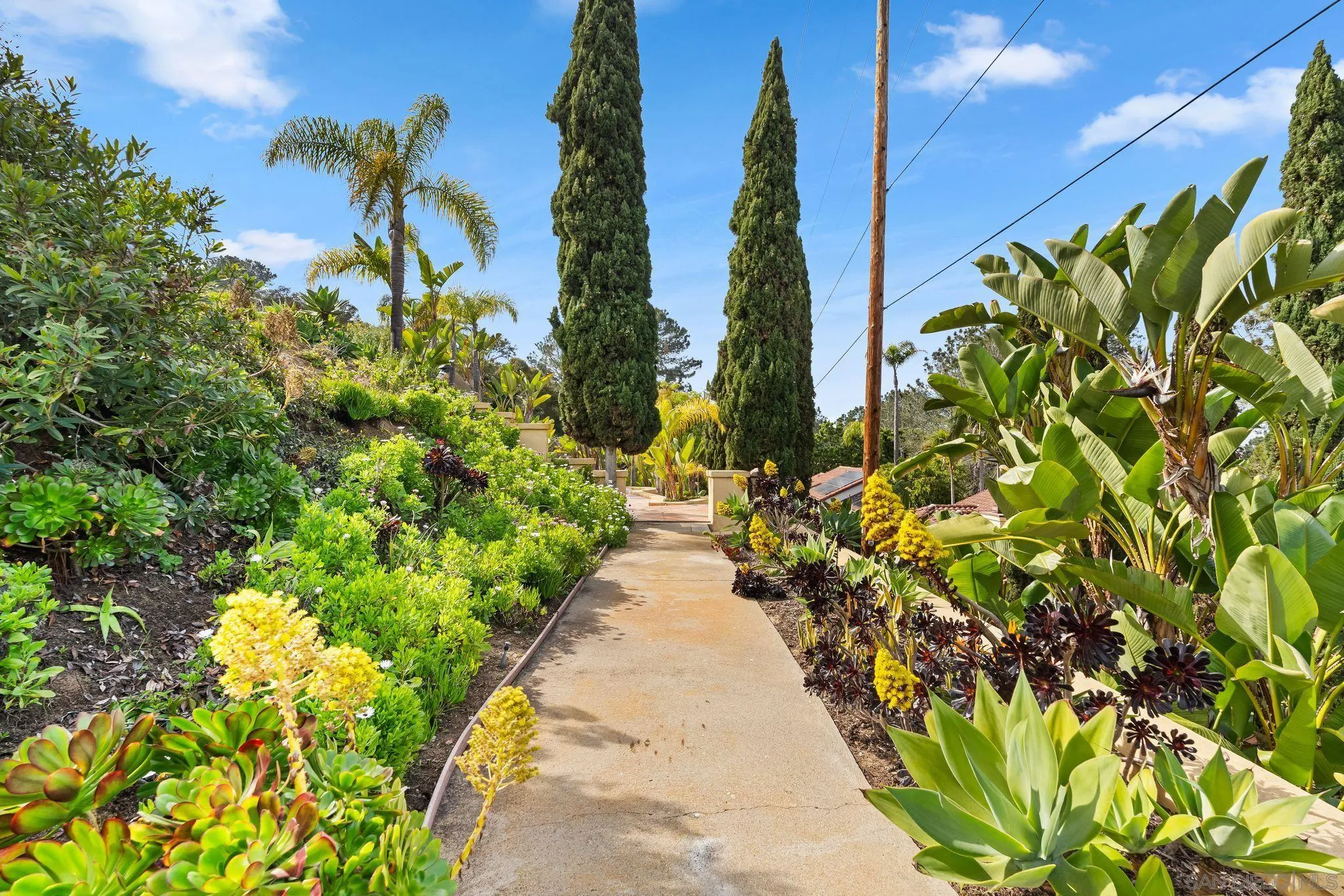 2969 Racetrack View Drive Del Mar, CA 92014 - Photo 49 of 59 a view of a garden with flowers