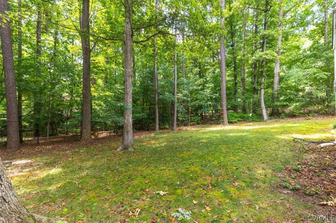 5802 Rosebay Forest Road Midlothian, VA 23112 - Photo 45 of 49 Gallery Image 45