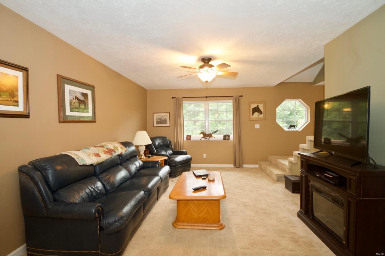 1345 Vines Road Cobden, IL 62920 - Photo 5 of 35 Gallery Image 5