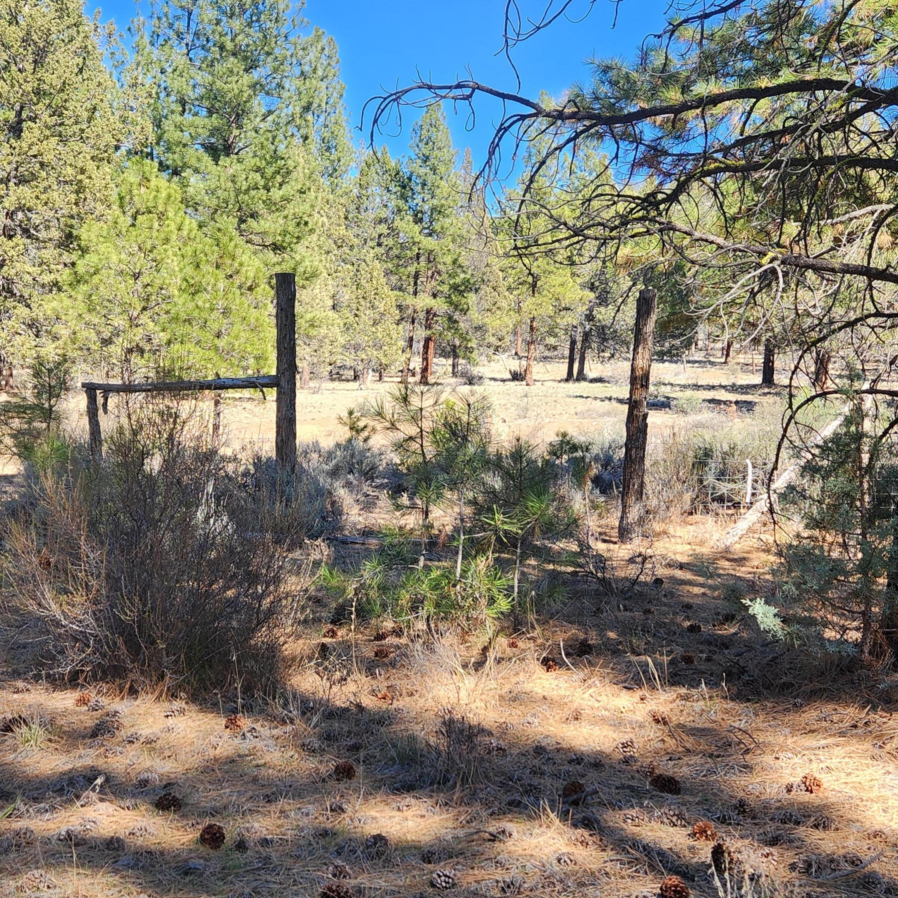 Moccasin Lane Chiloquin, OR 97624 - Photo 14 of 21 a view of a yard with a tree