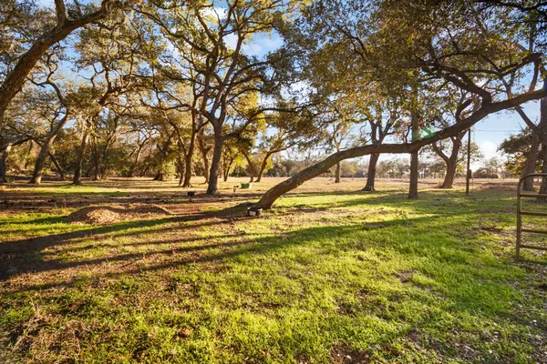 a backyard of a house with lots of green space