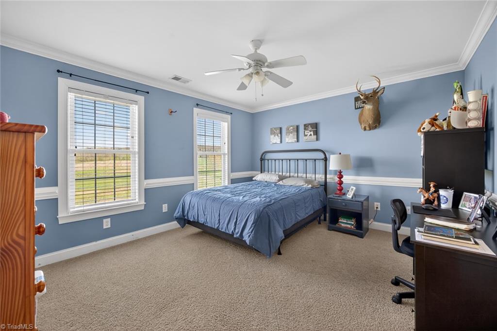 363 Kiger Road Pinnacle, NC 27043 - Photo 30 of 46