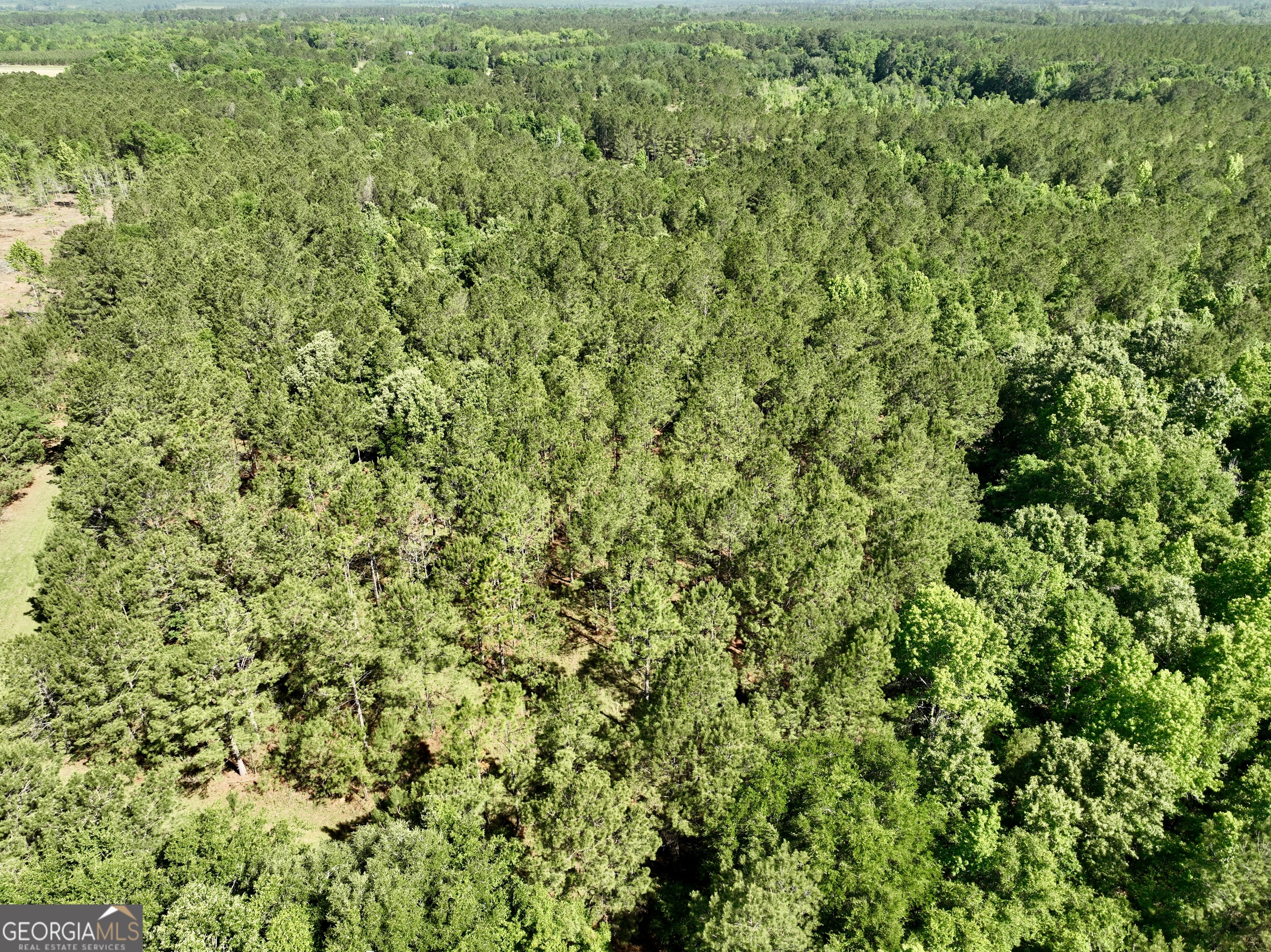 769 Mt Olive Church Road Eastman, GA 31023 - Photo 21 of 68