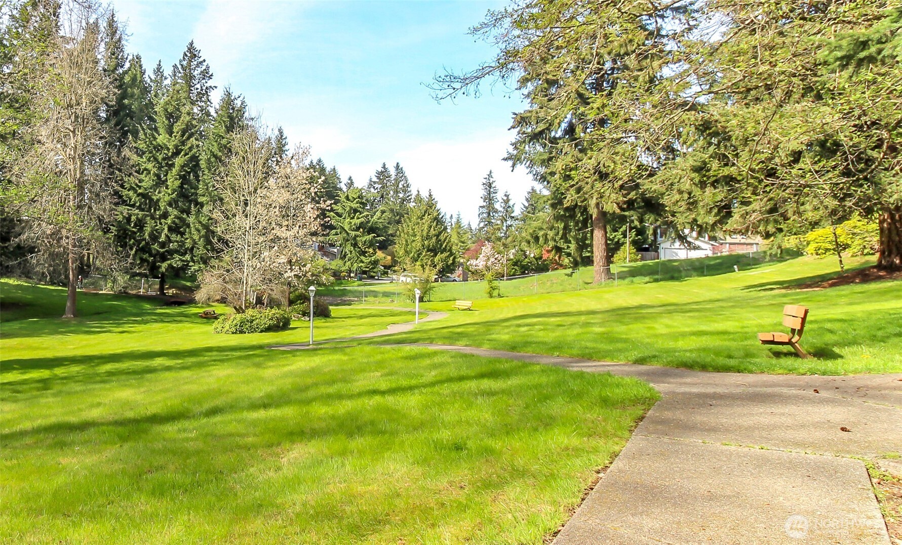 2500 South 370th Street, Unit 54 Federal Way, WA 98003 - Photo 37 of 40 a view of a big yard with palm trees