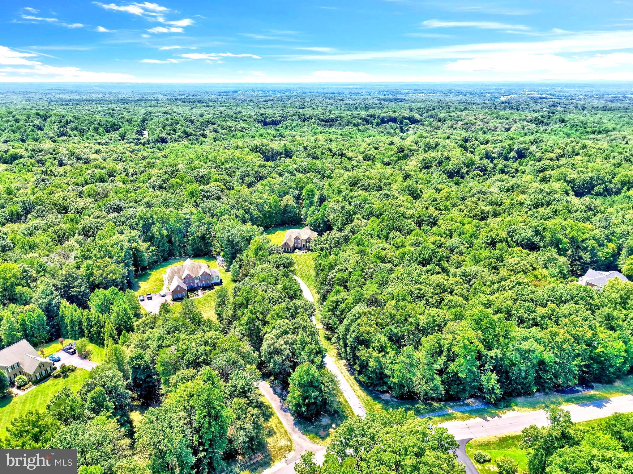 13650 Independence Ridge Nokesville, VA 20181 - Photo 82 of 98 Aerial View of the Private 10-Acre Estate