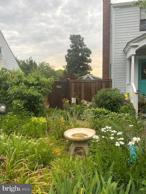 5018 South Chesterfield Road Arlington, VA 22206 - Photo 33 of 68 Side entry to gardens and back patio