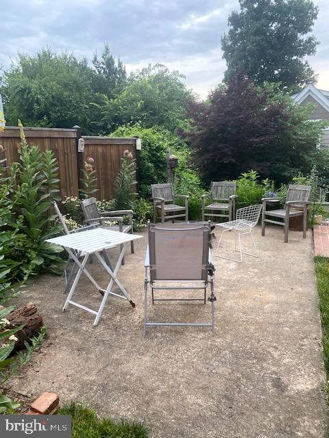 5018 South Chesterfield Road Arlington, VA 22206 - Photo 34 of 68 Cement back patio surrounded by native plants