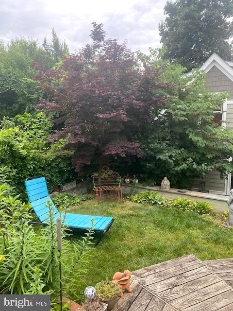 5018 South Chesterfield Road Arlington, VA 22206 - Photo 37 of 68 Back yard