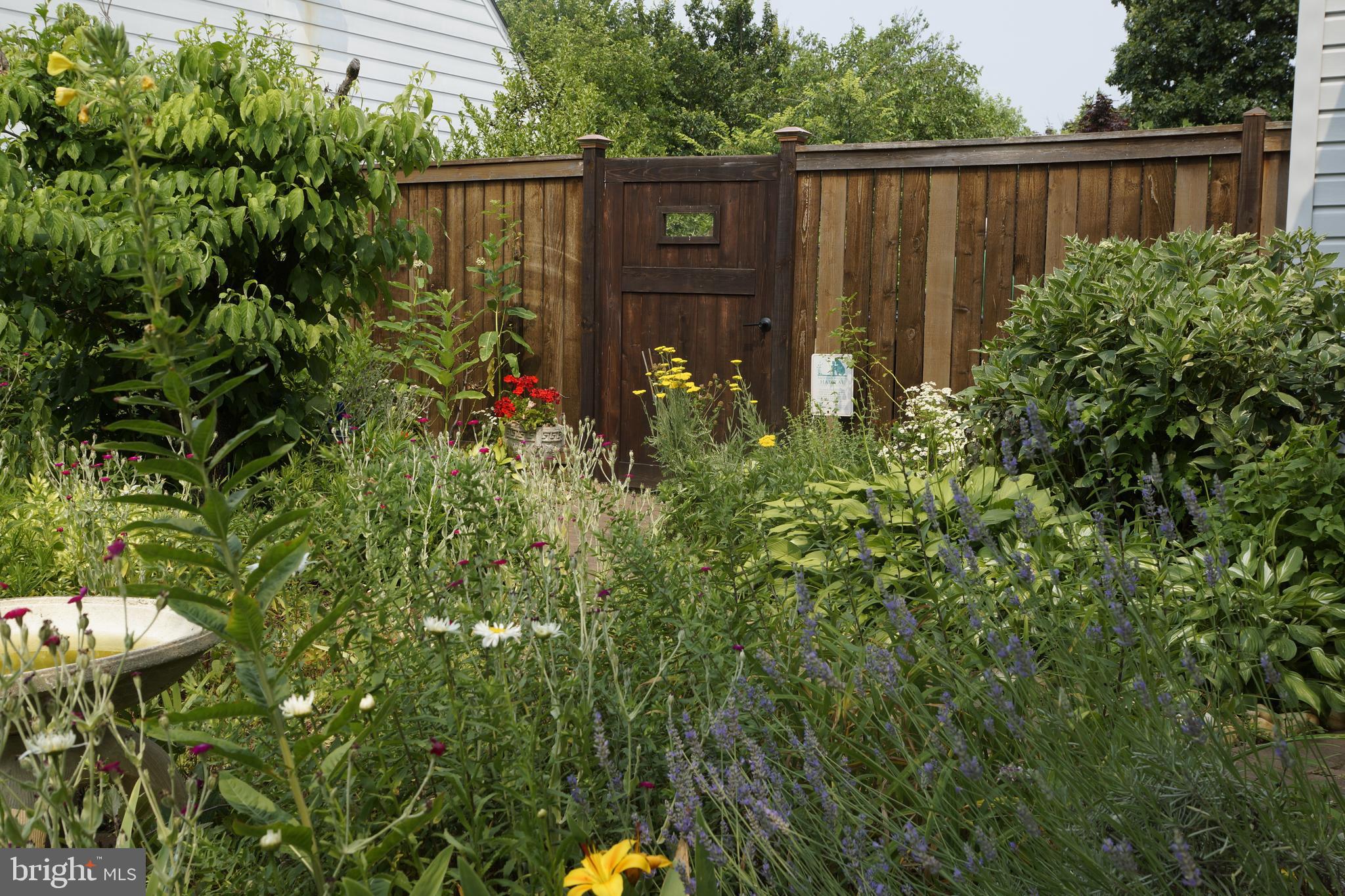 5018 South Chesterfield Road Arlington, VA 22206 - Photo 46 of 68 Side entrance to garden