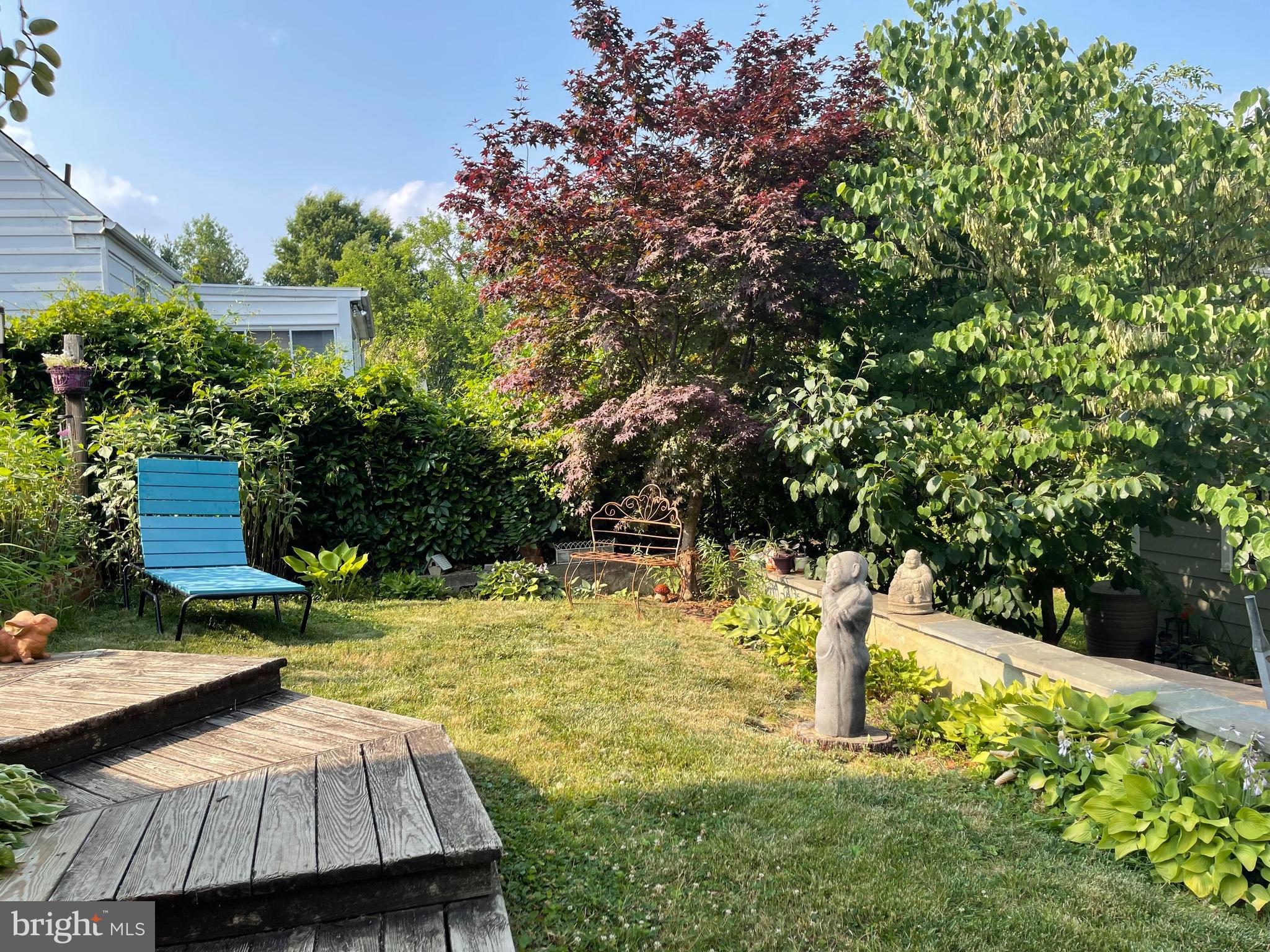 5018 South Chesterfield Road Arlington, VA 22206 - Photo 63 of 68 greenery everywhere