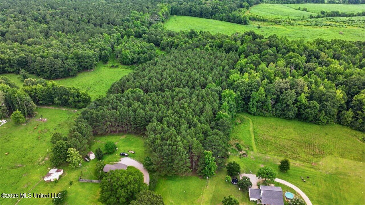 873 Bryan Road Walnut Grove, MS 39189 - Photo 56 of 72 61-873 Bryan Rd _ Hometoursms.com