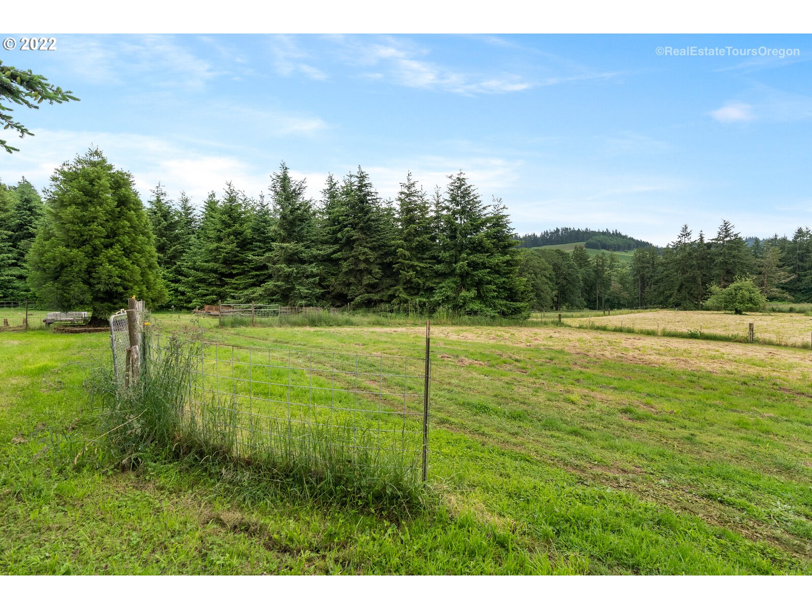 25139 Southeast Skyline Road Amity, OR 97101 - Photo 9 of 32 Gallery Image 9