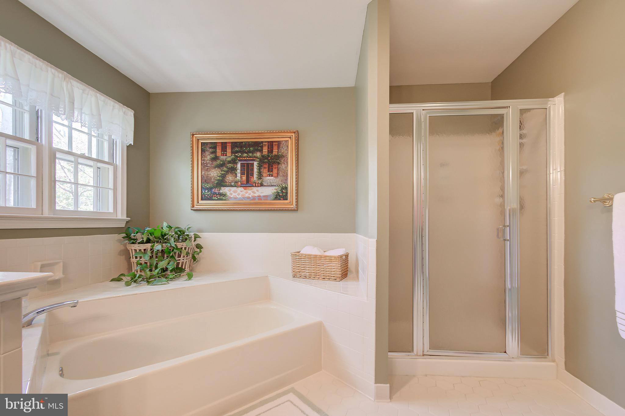 11972 Grey Squirrel Lane Reston, VA 20194 - Photo 47 of 70 Soaking Tub Plus Shower