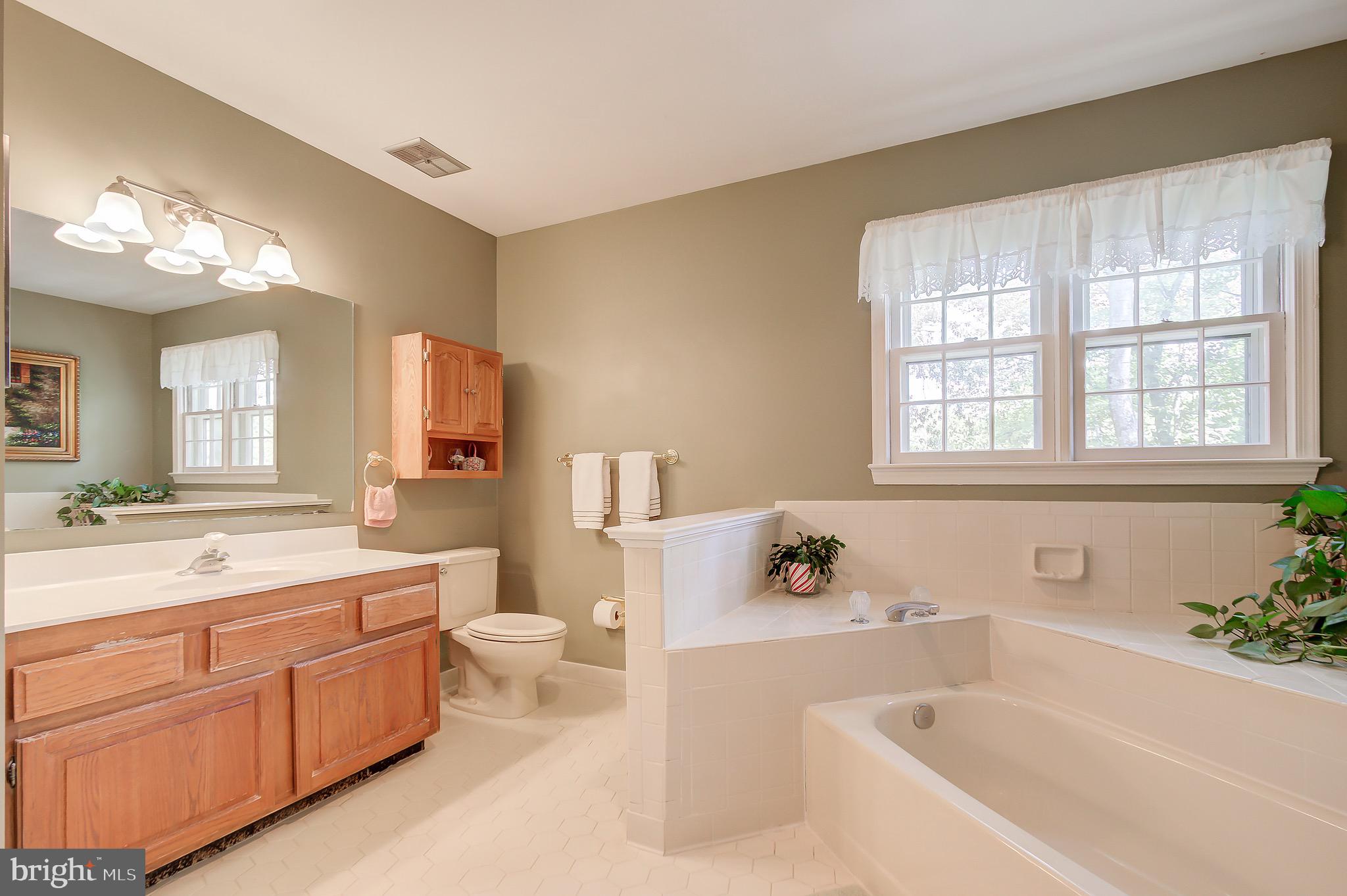 11972 Grey Squirrel Lane Reston, VA 20194 - Photo 48 of 70 Primary Bathroom