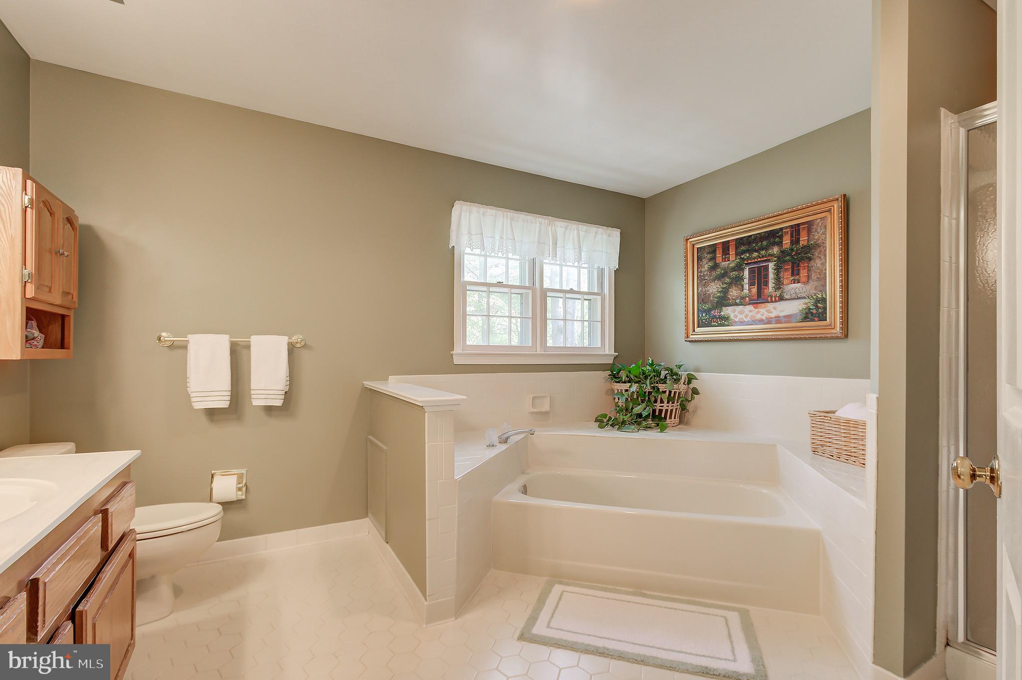 11972 Grey Squirrel Lane Reston, VA 20194 - Photo 49 of 70