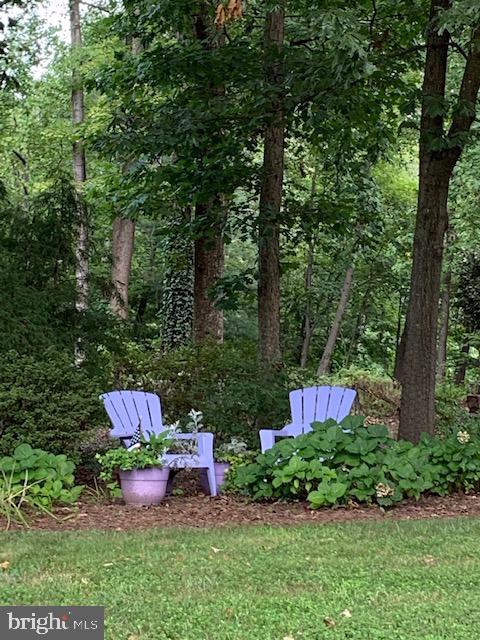 11972 Grey Squirrel Lane Reston, VA 20194 - Photo 6 of 70 Relax With Your Coffee