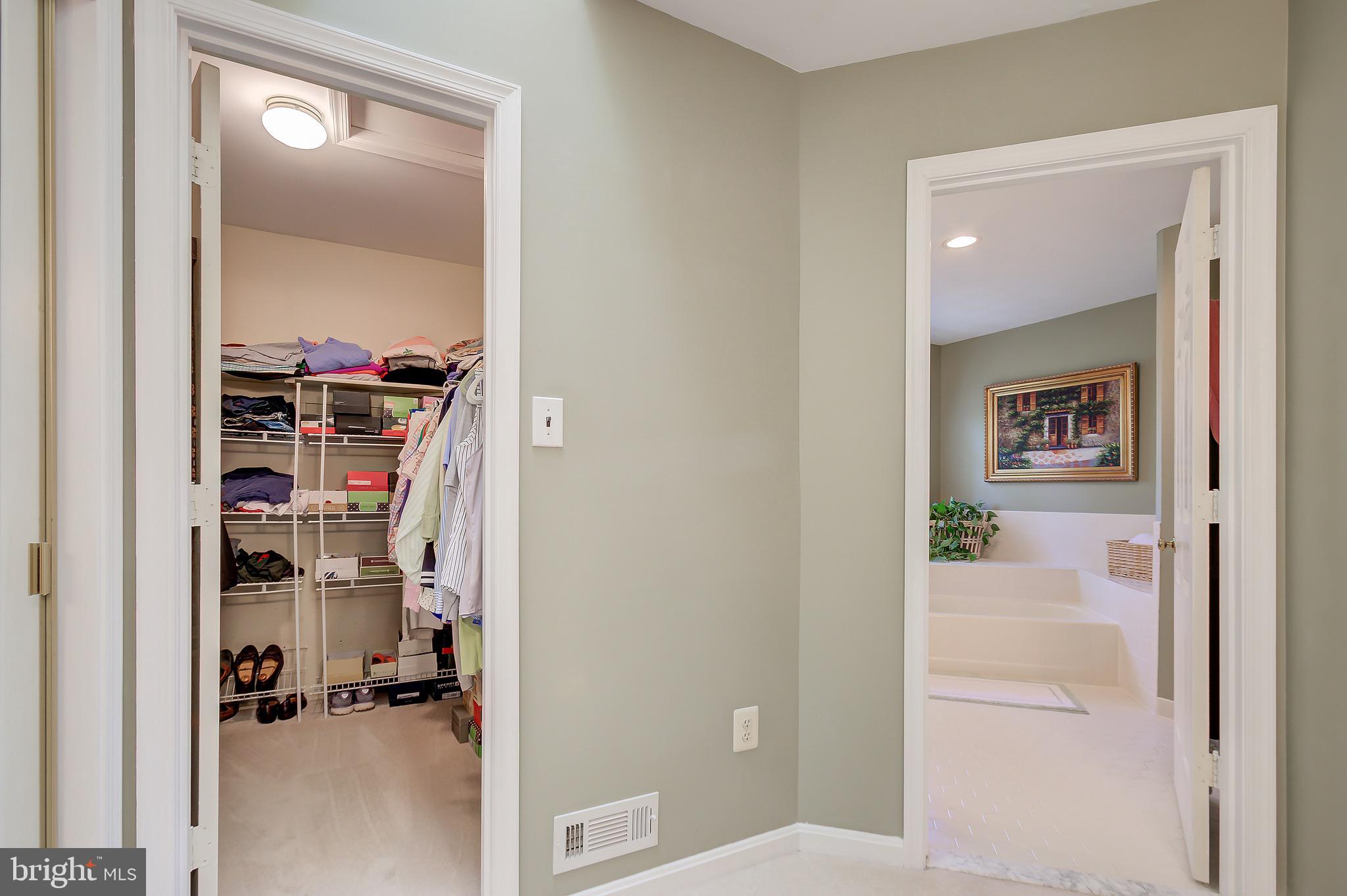 11972 Grey Squirrel Lane Reston, VA 20194 - Photo 50 of 70 Walk-In Closet