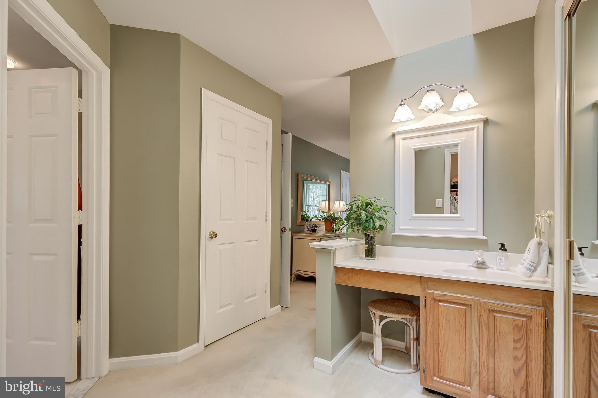 11972 Grey Squirrel Lane Reston, VA 20194 - Photo 51 of 70 Dressing Area