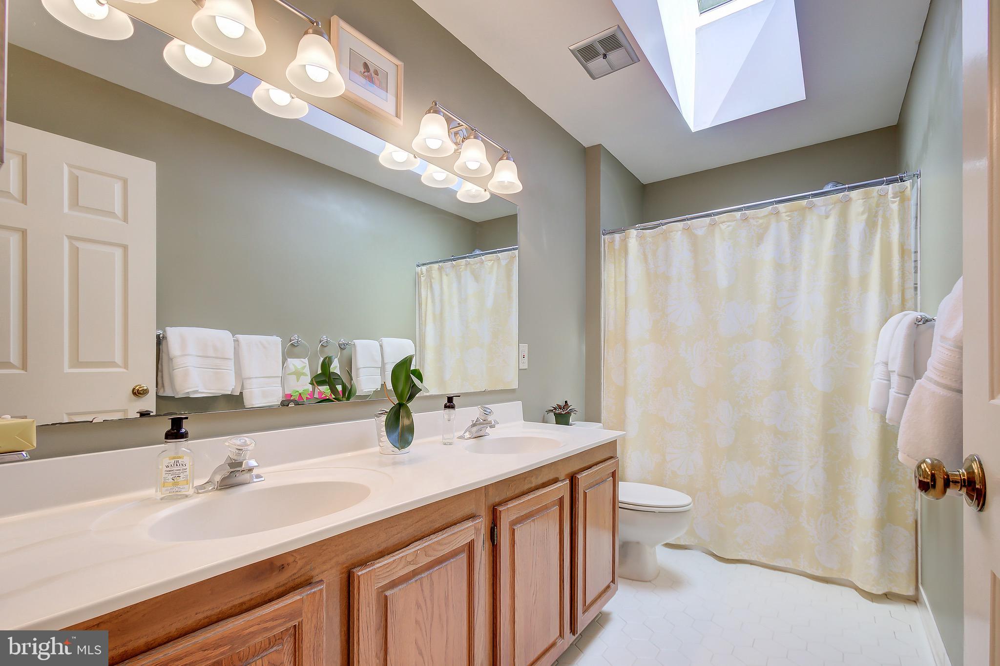 11972 Grey Squirrel Lane Reston, VA 20194 - Photo 56 of 70 Double Sink Vanity