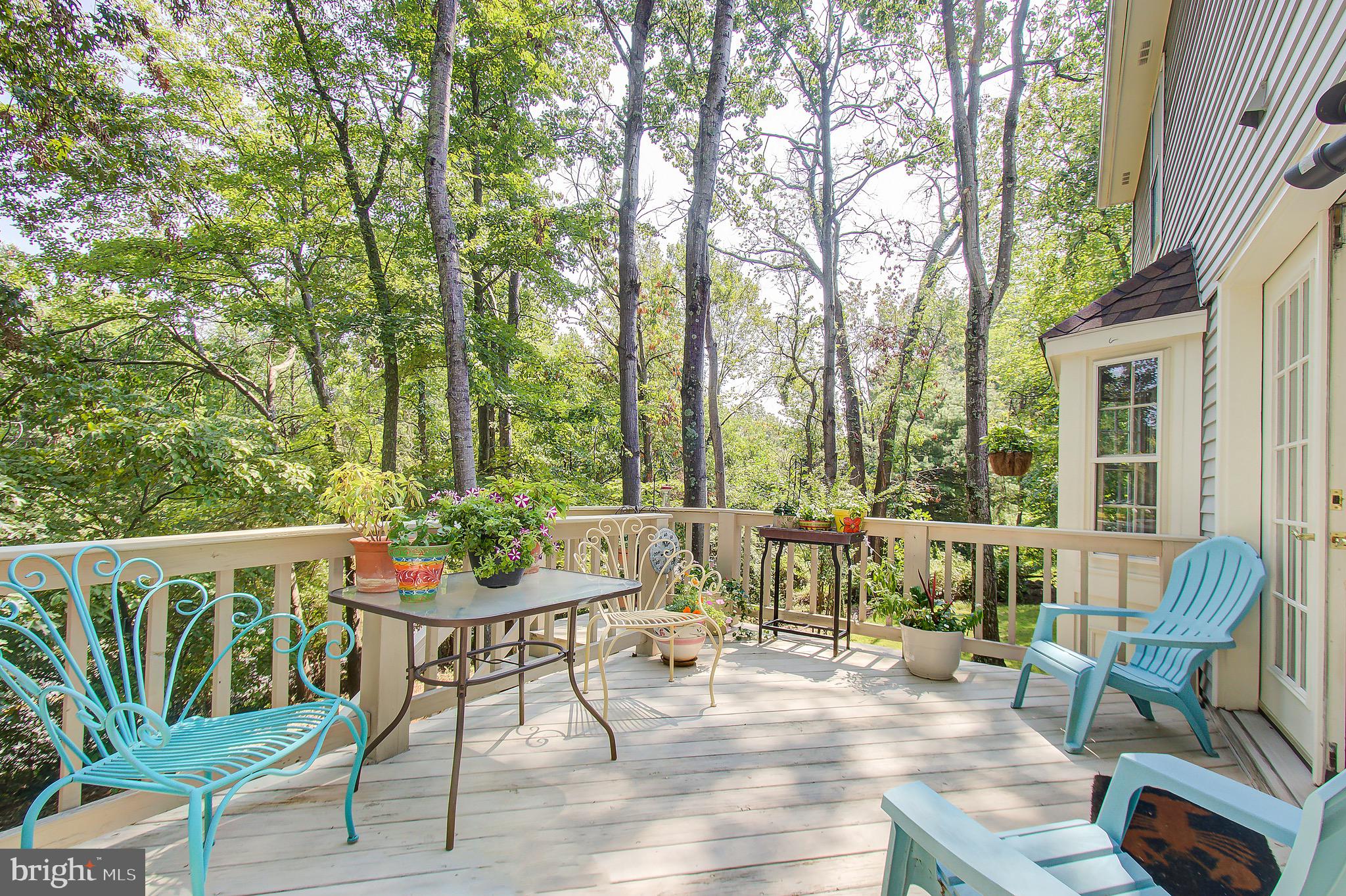 11972 Grey Squirrel Lane Reston, VA 20194 - Photo 59 of 70 Rear Deck