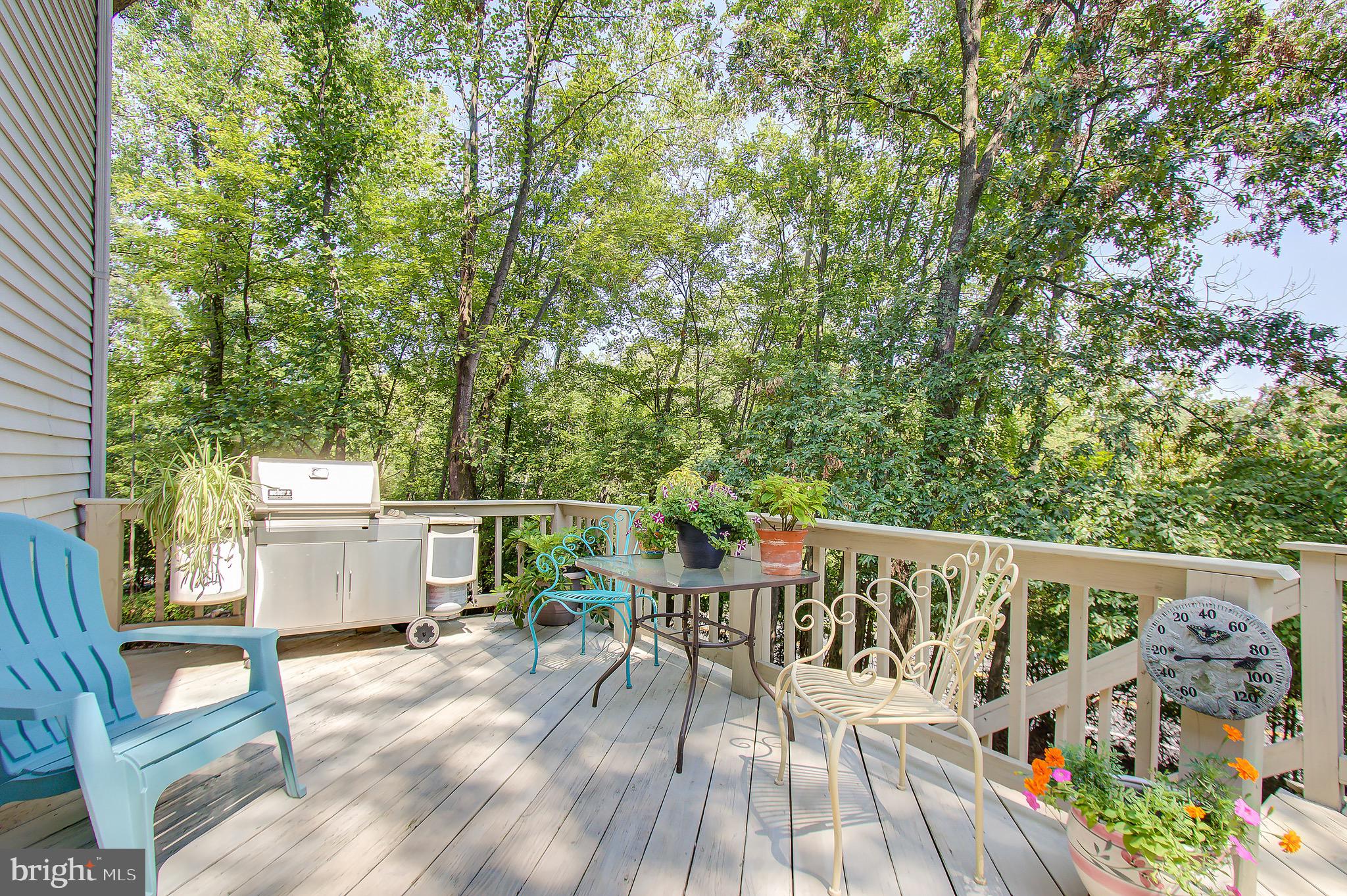 11972 Grey Squirrel Lane Reston, VA 20194 - Photo 60 of 70