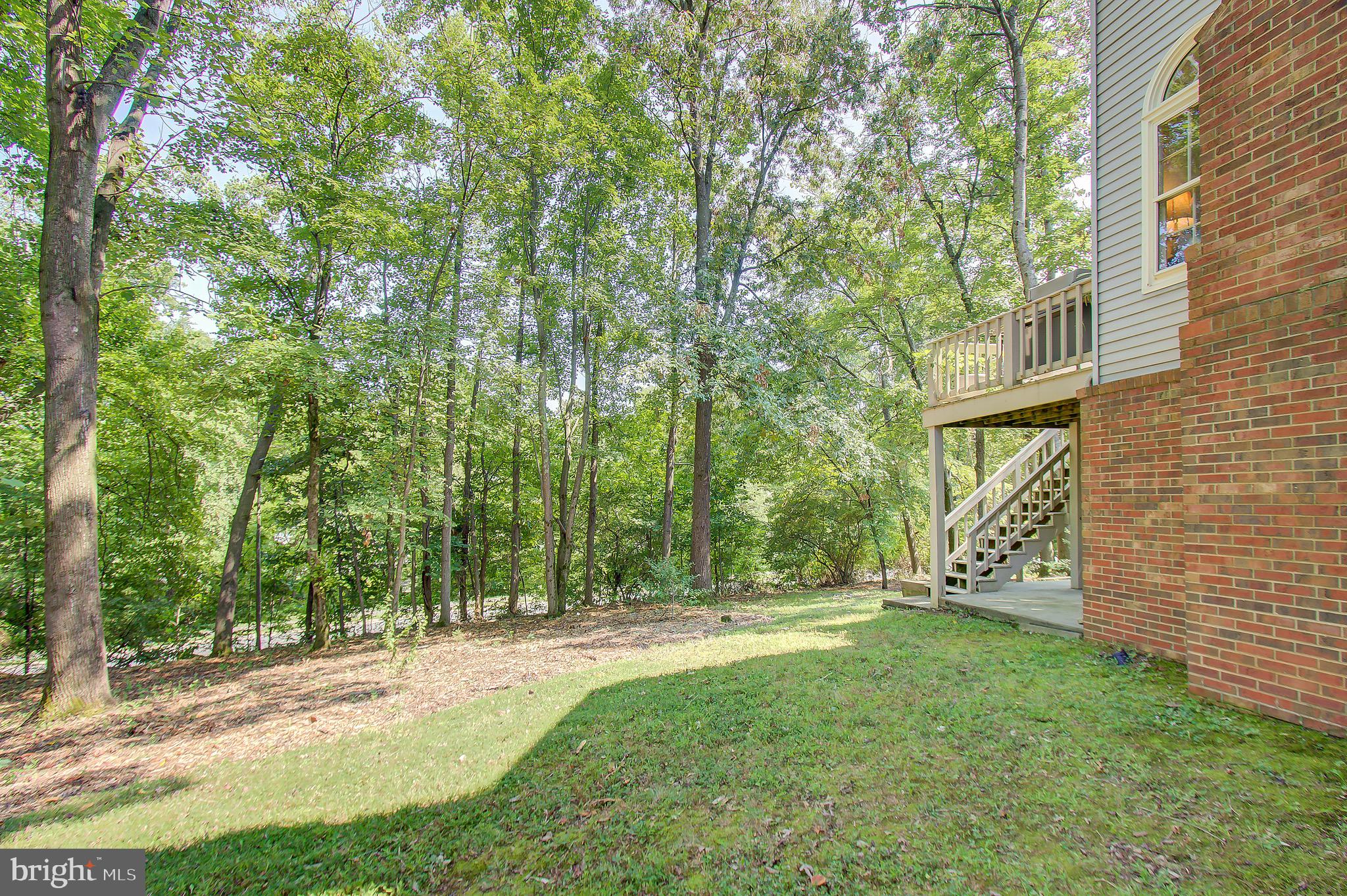 11972 Grey Squirrel Lane Reston, VA 20194 - Photo 67 of 70 Lovely Rear Yard