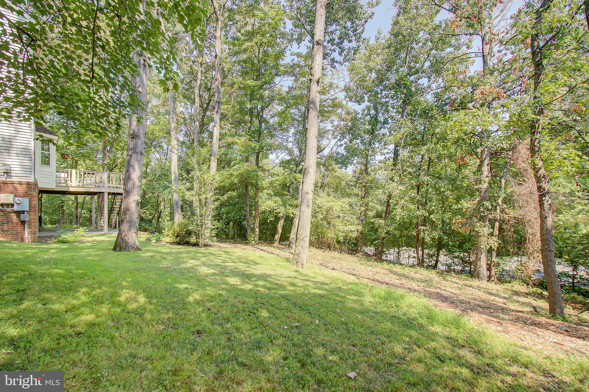 11972 Grey Squirrel Lane Reston, VA 20194 - Photo 69 of 70 Private Treed Backyard