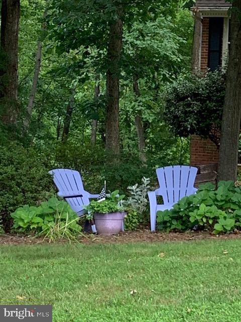 11972 Grey Squirrel Lane Reston, VA 20194 - Photo 9 of 70 Island Garden