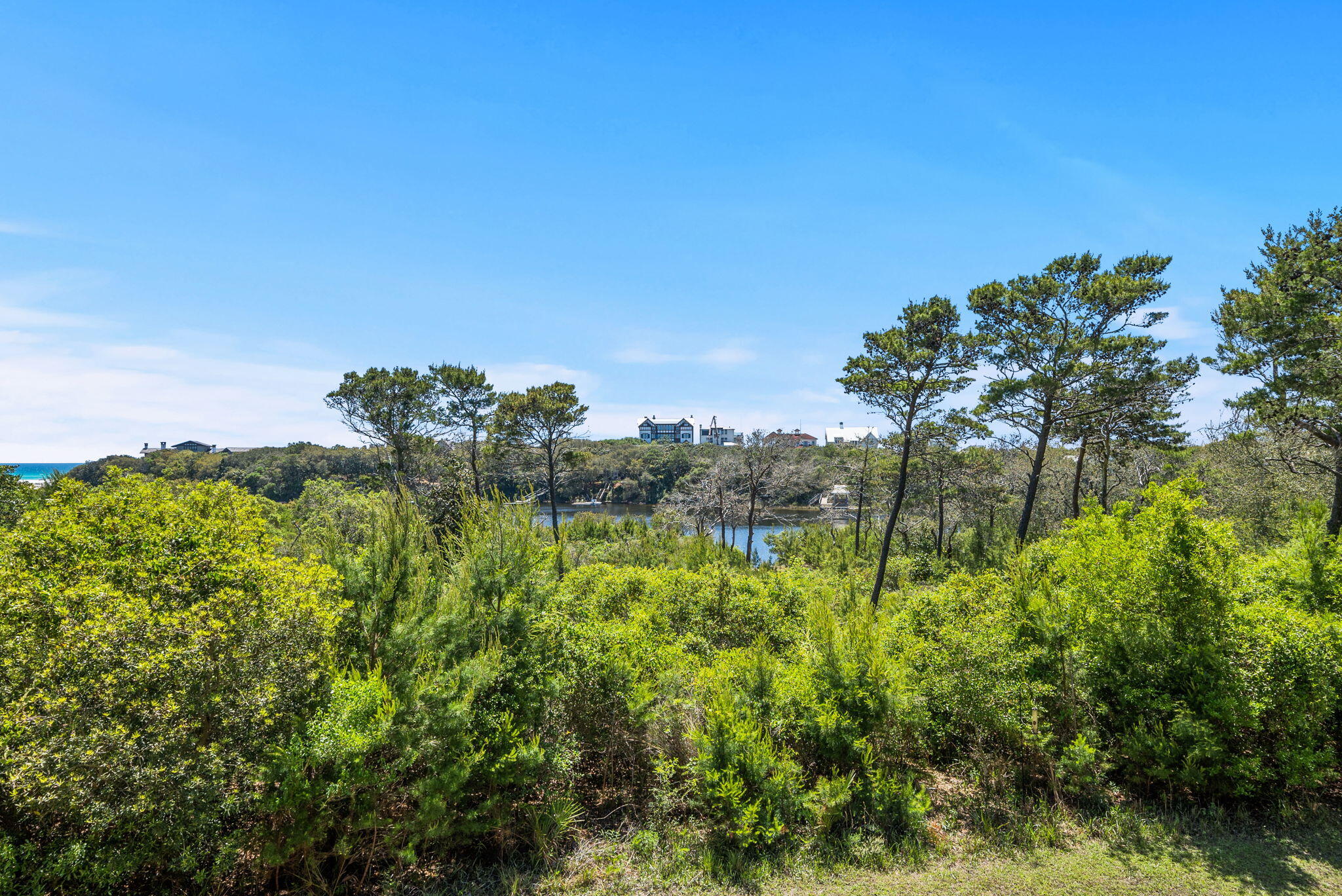 1653 West County Highway 30A, Unit 2105 Santa Rosa Beach, FL 32459 - Photo 19 of 42 a view of a garden