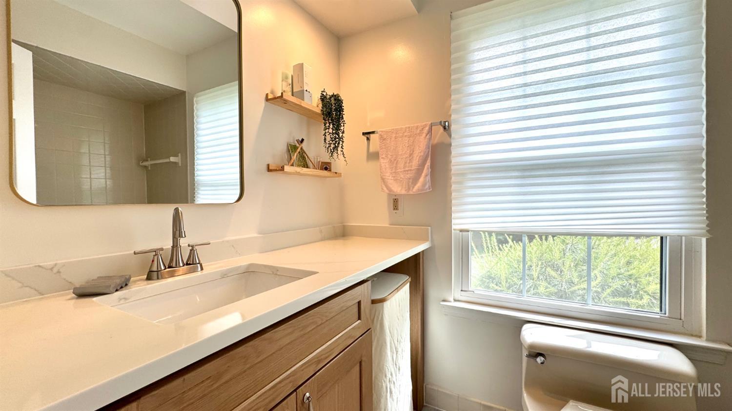 507 Timber Oaks Road Edison, NJ 08820 - Photo 14 of 17 a bathroom with a sink and a mirror