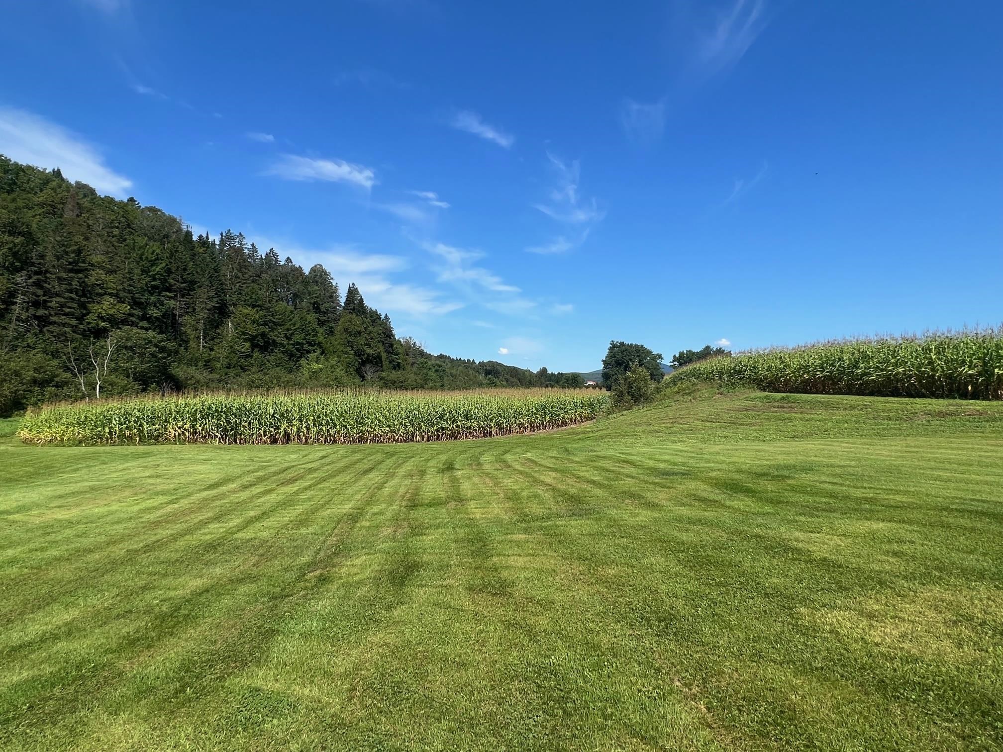 102 Off Of Route Canaan, VT 05903 - Photo 13 of 14