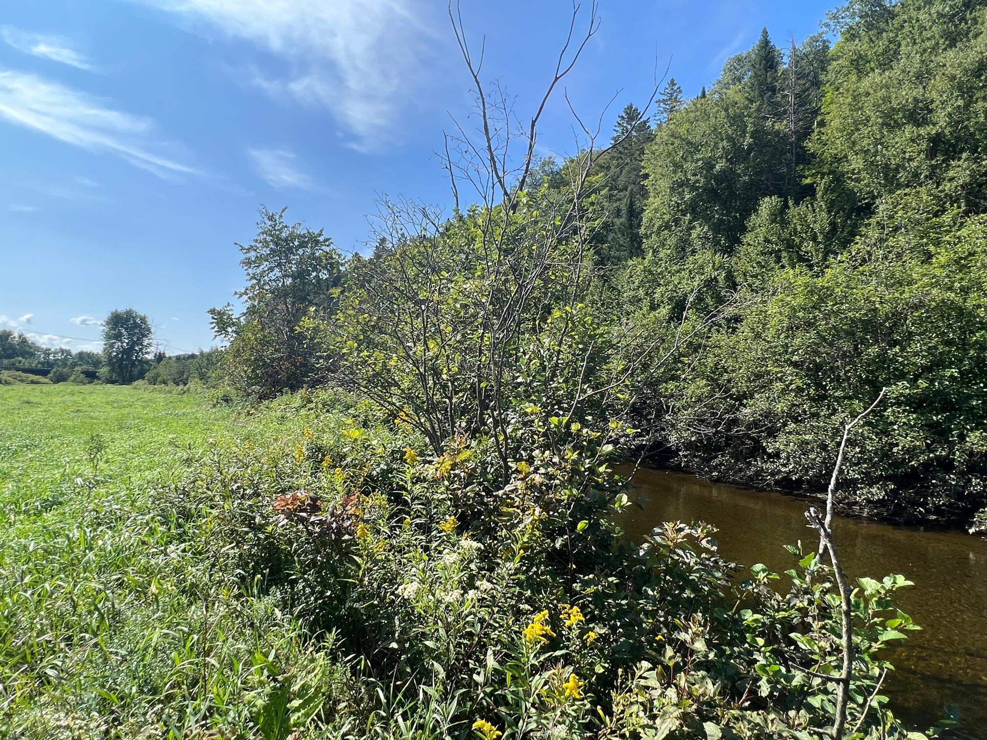 102 Off Of Route Canaan, VT 05903 - Photo 4 of 14