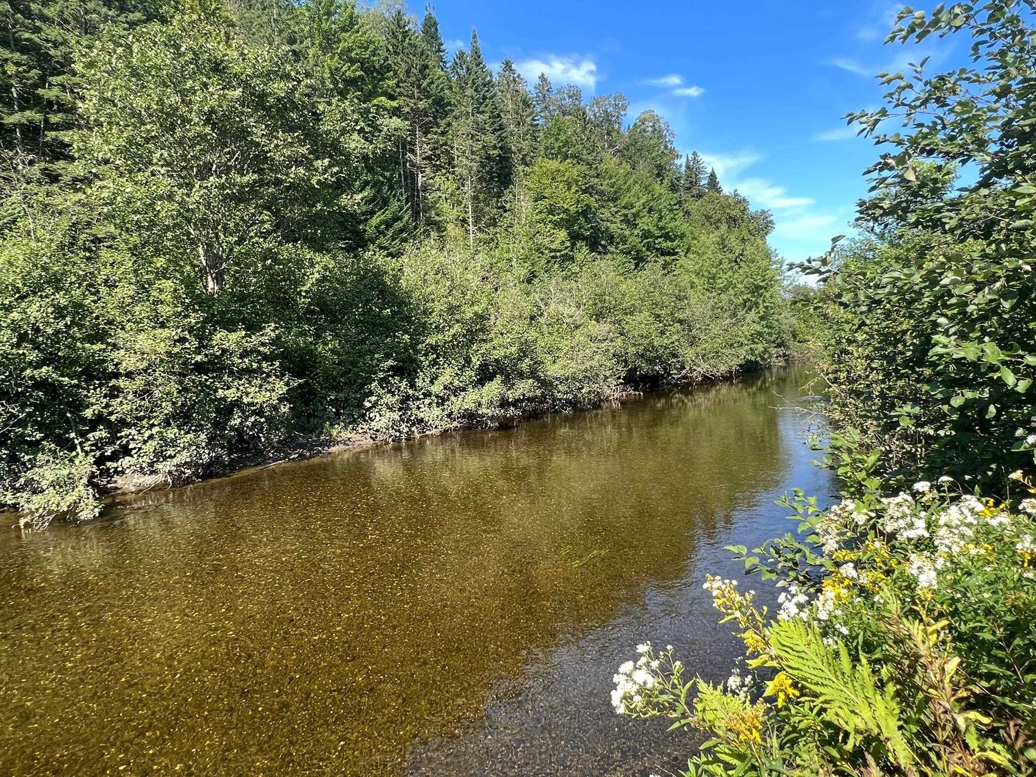 102 Off Of Route Canaan, VT 05903 - Photo 8 of 14