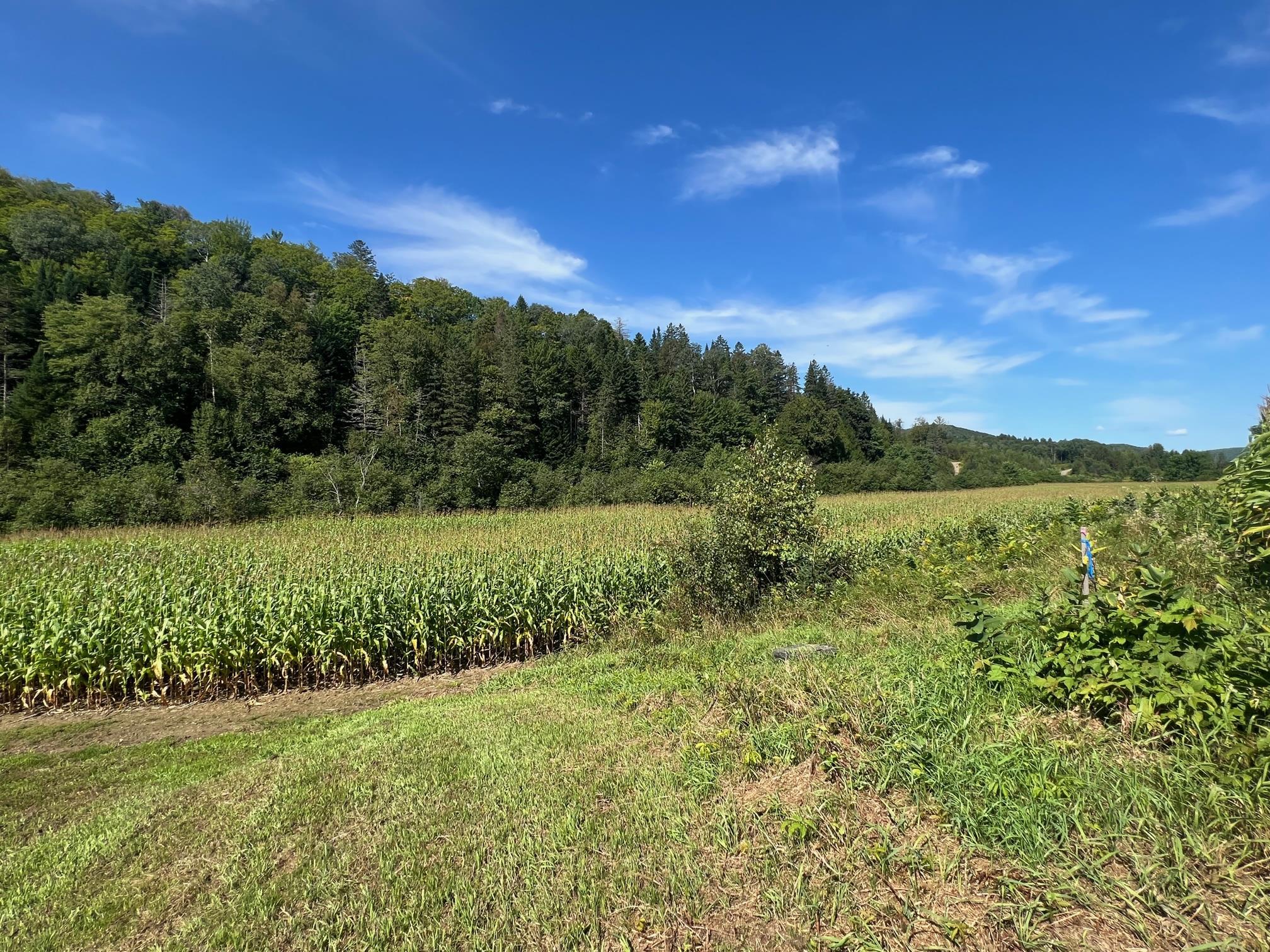 102 Off Of Route Canaan, VT 05903 - Photo 9 of 14