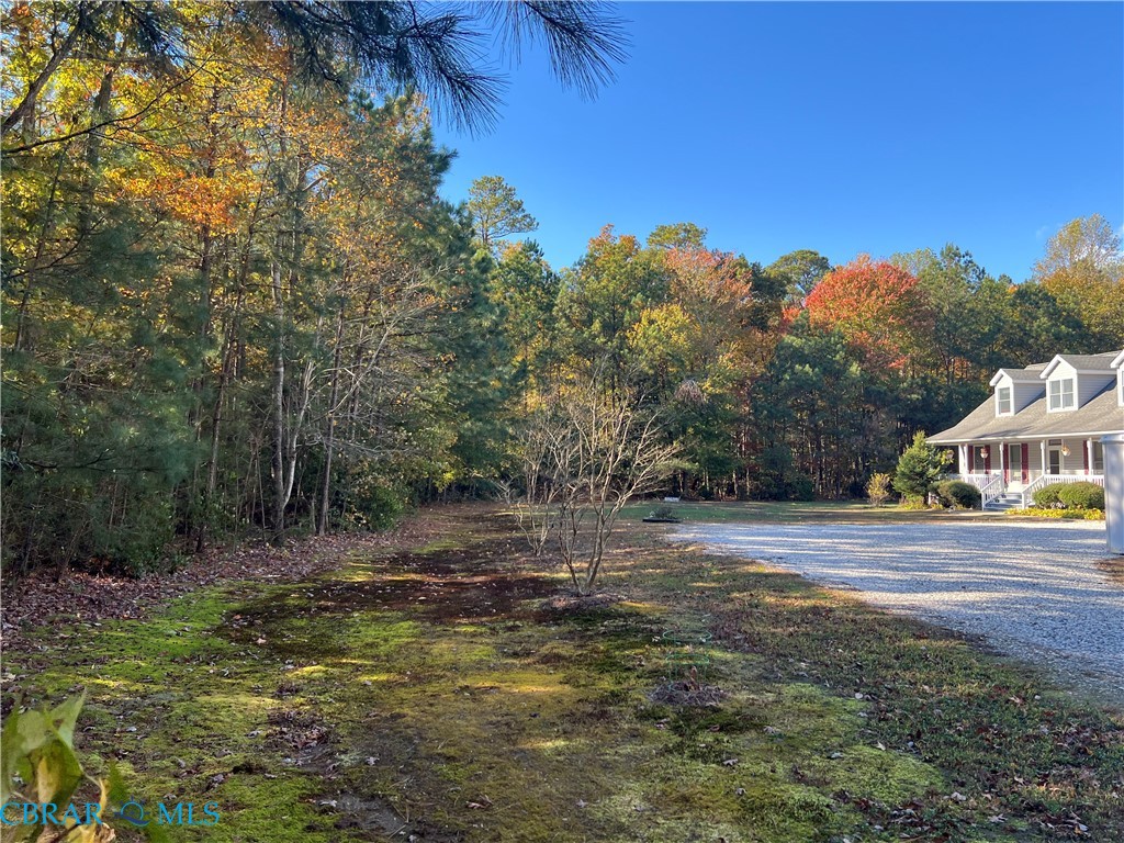 1419 Mill Creek Road Wake, VA 23176 - Photo 48 of 49 Fall Views and Color on the Drive in