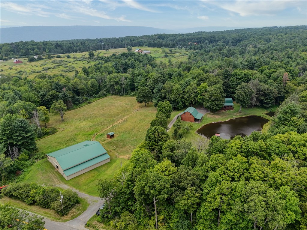 9176 Tibbals Road Canadice, NY 14560 - Photo 28 of 46