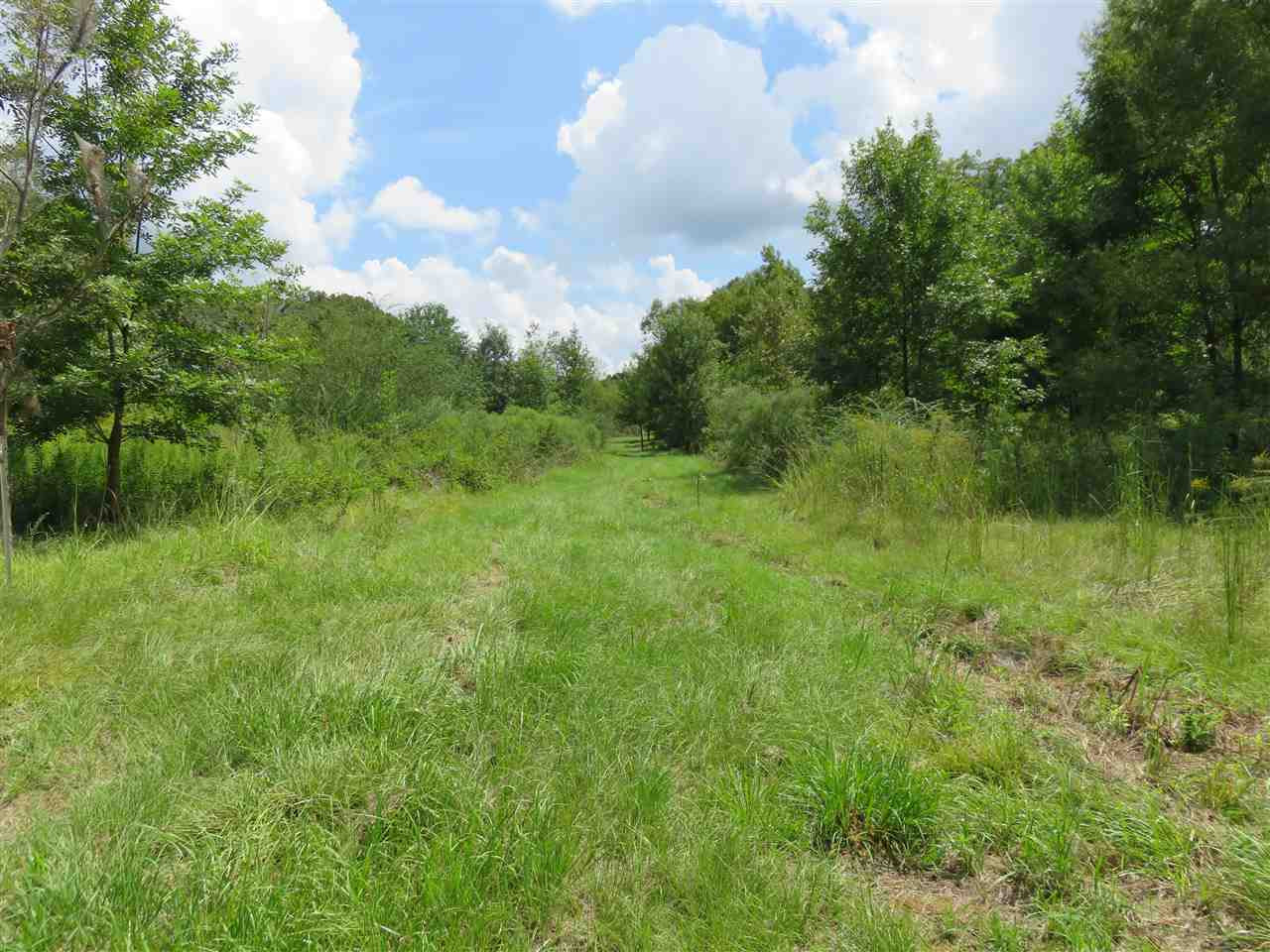2082 Florence-Byram Road Florence, MS 39073 - Photo 3 of 10 Photo 3