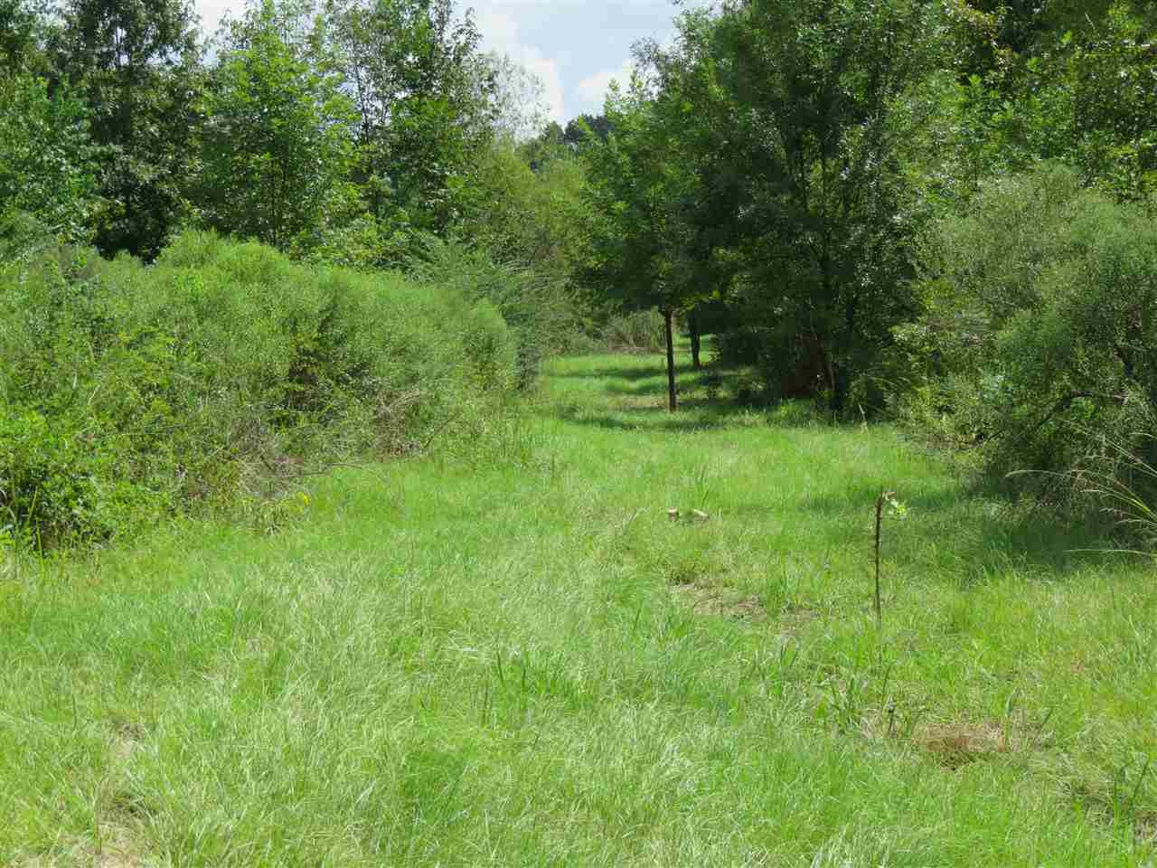 2082 Florence-Byram Road Florence, MS 39073 - Photo 4 of 10 Photo 4