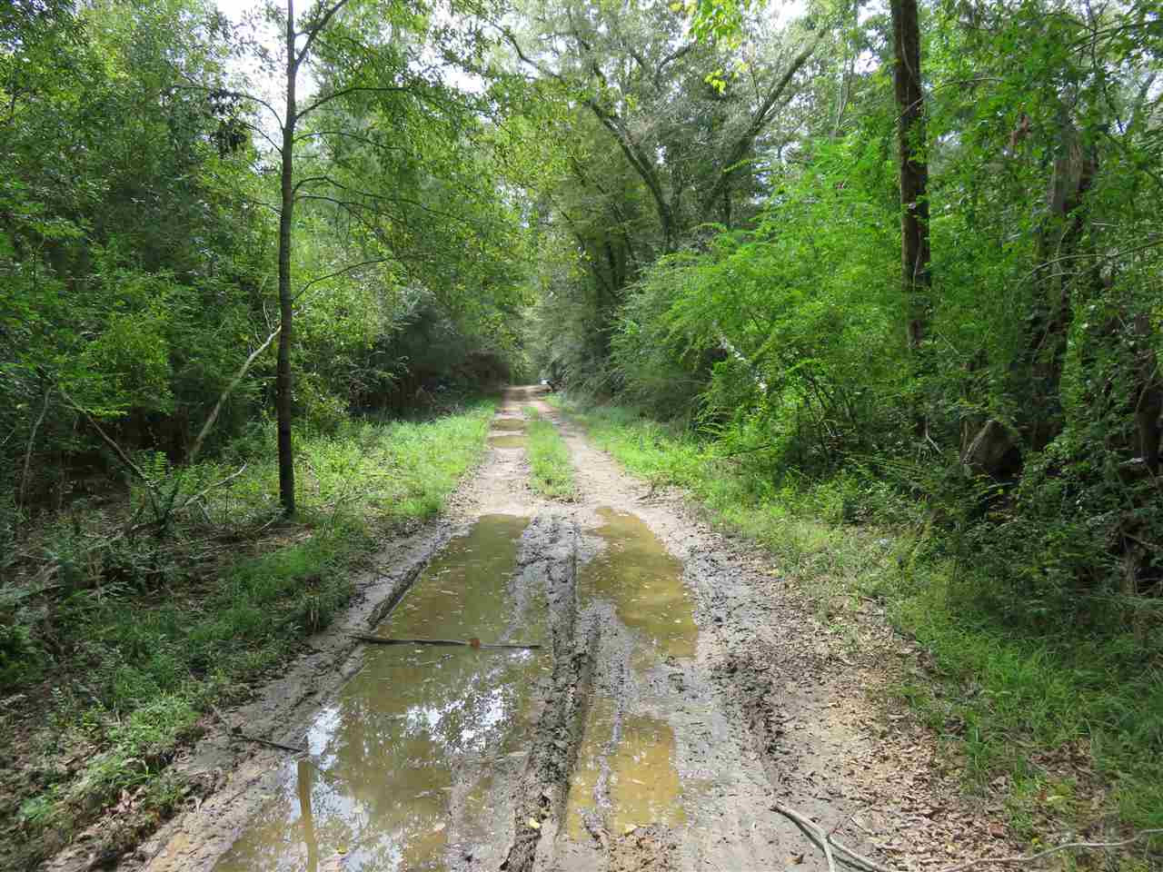 2082 Florence-Byram Road Florence, MS 39073 - Photo 10 of 10 Photo 10
