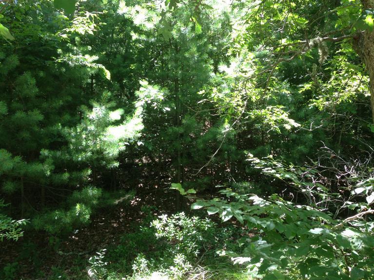 17 Cove Road Forestdale, MA 02644 - Photo 4 of 16 Additional Photo