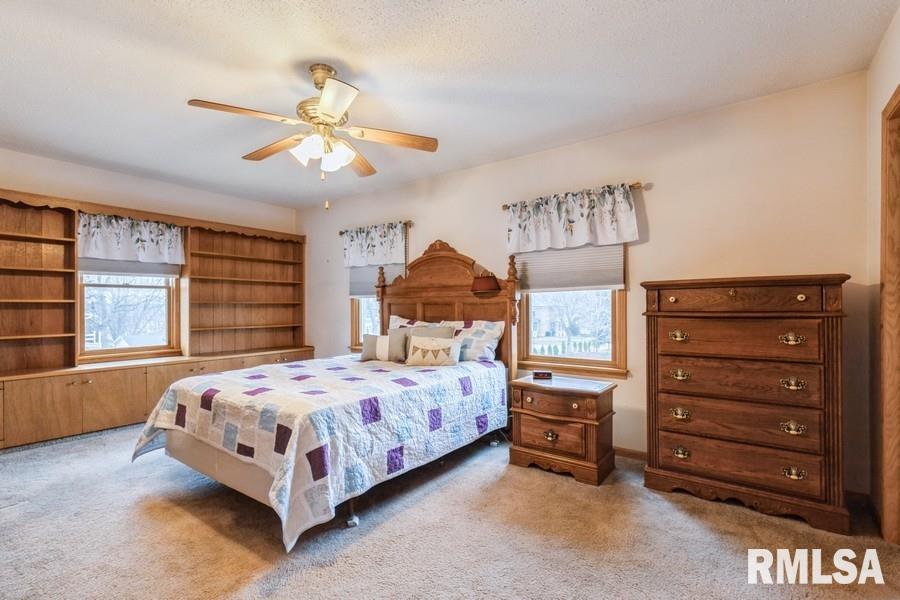 801 10th Avenue Fulton, IL 61252 - Photo 15 of 24