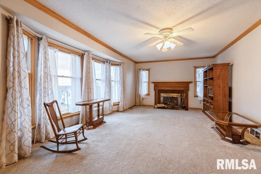 801 10th Avenue Fulton, IL 61252 - Photo 5 of 24