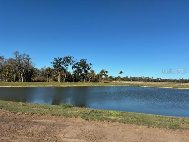 10164 Hidden Hammock Loop Parrish, FL 34221 - Photo 8 of 8